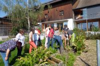 LV_Kneipp_Vorarlberg_Hol dir den Sommer ins Glas_Biohof_Lingenhel_Doren_10 LV_Kneipp_Vorarlberg_Hol dir den Sommer ins Glas_Biohof_Lingenhel_Doren_10